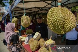Gubernur sebut Sulteng bisa menjadi "raja durian dunia"