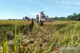 Dinas Pangan Purwakarta atasi sawah terancam kekeringan dengan bantuan pompa air