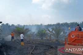 BPBD pastikan karhutla lahan sawit 4 hektare di Muara Enim sudah padam total