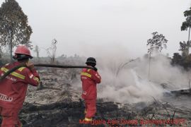 Satgas  padamkan karhutla di Kumpeh Muaro Jambi
