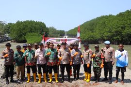 Polres Kepulauan Seribu tanam 2.000 mangrove peringati HUT RI