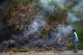 Warga padamkan potensi kebakaran lahan di Tanah Datar