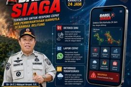 Gubernur terapkan Babel Siaga perkuat deteksi dini karhutla