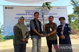 Pelindo Pangkalbalam tanam 650 pohon endemik Pulau Bangka