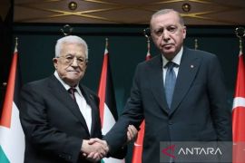 Erdogan: Israel berupaya singkirkan isu Palestina dari agenda global