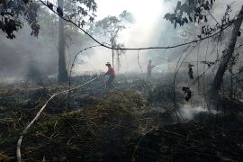 Dishut Kaltara: Jangan bakar lahan dan buang puntung rokok sembarangan