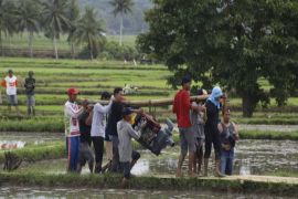 Pemkab Parigi Moutong usul pengadaan pompa air antisipasi dampak El Nino