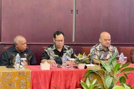 Pemprov Papua Selatan dorong penguatan tata kelola satu data Indonesia