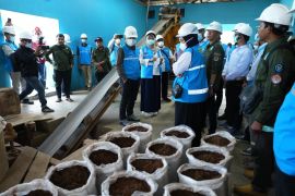 PLN Babel kembangkan pemanfaatan FABA untuk dukung ketahanan pangan dan ekonomi masyarakat
