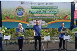 Petrokimia kenalkan pertanian berteknologi lewat Pestani Rawit Groo