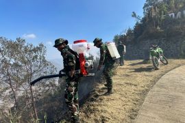 Indonesia cools 8 hotspots in Mount Bromo after active fires put out