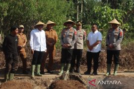 Diskatan Kuningan fokuskan uji budi daya komoditas bawang putih