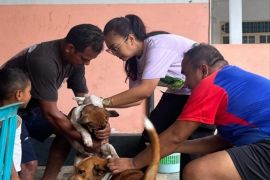 Rabies mengintai, Dompu perkuat vaksinasi HPR dan kesadaran masyarakat