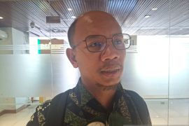 Ekonom Indef nilai Danantara mulai efisiensikan BUMN