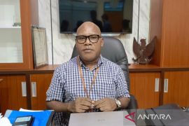 YPMAK siapkan pengembangan kopi di Pegunungan Mimika