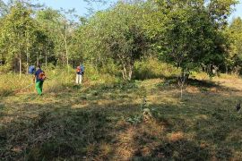Pemkot Pangkalpinang bersihkan Kebun Raya Tua Tunu guna cegah karhutla