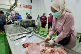 Rumah Potong Hewan Batam perkuat edukasi pentingnya daging ASUH