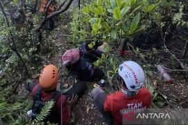 Kebakaran lahan di Gunung Gede capai 5.8 hektar