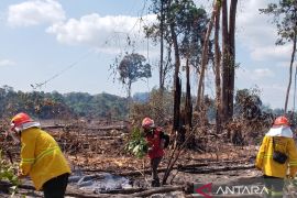 Dinas Kehutanan Kaltim optimalkan posko siaga untuk antisipasi karhutla