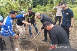 Pemkot Medan manfaatkan gotong-royong untuk tanam pohon