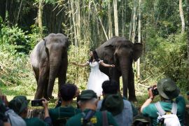 IAPVC 2026 buka kompetisi fotografi dan video satwa bagi masyarakat