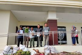 Tak punya Rp3 miliar, tiga petani Mukomuko minta MA pertimbangkan putusan lahan