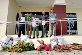 Petani Mukomuko serahkan hasil bumi ke PN bayar putusan perkara lahan