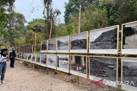 Budayawan Banten tekankan pentingnya akar budaya bangun daerah