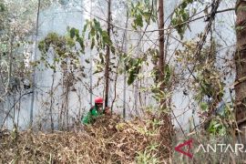 BPBD Muara Enim padamkan karhutla satu hektare di Benakat