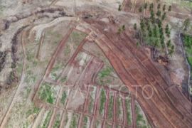 Pemkab: Cetak sawah baru di Parimo sudah dimanfaatkan tanam padi
