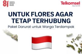 Telkomsel pulihkan layanan jaringan pascagempa M7,7 di NTT