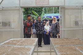 Holding UMKM Klaster Perkebunan ekspor 16 ton lada putih ke Belanda