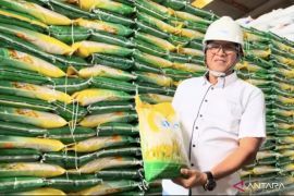 Bulog siapkan 16.428 ton beras bantuan Kalbar