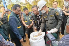 Kementerian UMKM fasilitasi akses pasar 1.300 petani lada Babel