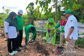 PKB Kalsel dorong penghijauan dan perbanyak pohon di Banjarmasin
