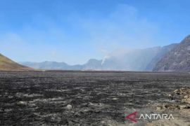 TNBTS lakukan penghitungan kerugian akibat karhutla Bromo