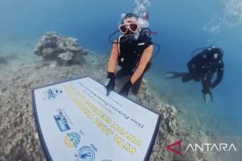 Dispar Kaltim gandeng komunitas lestarikan karang Pulau Miang