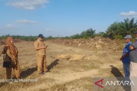 Masyarakat Belitung perluas perkebunan sawit rakyat