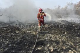 Upaya penanganan karhutla di Muaro Jambi