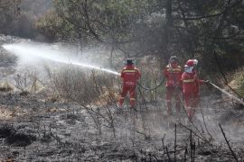 Kemenhut teruskan pendinginan dan penyisiran area bekas karhutla Bromo