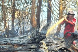 Karhutla di Inderagiri Hulu meluas hingga mencapai 434 hektare