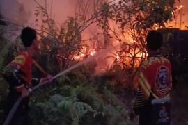 Petugas berjibaku padamkan 17 kebakaran di Kotim saat momen HUT RI