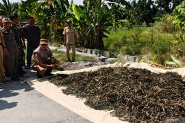 Pemkab Lamongan arahkan petani tadah hujan guna jaga produktivitas