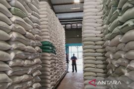 Bulog Sumut terima 46.000 ton beras penuhi kebutuhan masyarakat