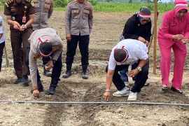 Polisi bantu Parigi Moutong kembangkan komoditas bawang putih