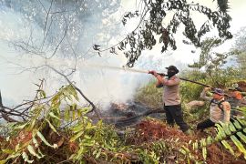 Tim gabungan padamkan karhutla 10 hektare di habitat harimau di Riau