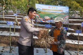 Polres Tasikmalaya menyalurkan benih untuk dukung penanaman bawang putih