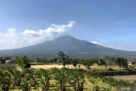 Dishut Jatim: Pendakian Arjuno-Welirang ditutup akibat kebakaran hutan