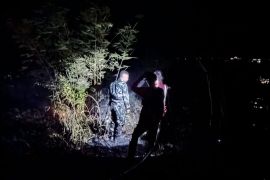 Hutan pinus di Malino terbakar