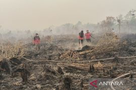 Operasi pemadaman karhutla di Palangka Raya ditingkatkan